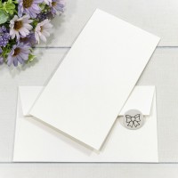 Конверт подарочный 16,9*9,4см 1009 1/10 1/250 Арт: 003010/9