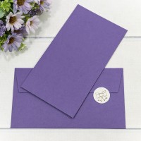 Конверт подарочный 16,9*9,4см 1015 1/10 1/250 Арт: 003010/15