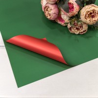Плёнка в листах 55*55 (20 шт.) матовая двухсторонняя 65мкм Красный/Зелёный 1/60 Арт: 1631/6175