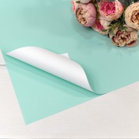 Плёнка в листах 55*55 (20 шт.) матовая двухсторонняя 65мкм Голубой/Белый 1/60 Арт: 1631/635