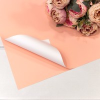 Плёнка в листах 55*55 (20 шт.) матовая двухсторонняя 65мкм Персиковый/Белый 1/60 Арт: 1631/4032