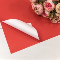 Плёнка в листах 55*55 (20 шт.) матовая двухсторонняя 65мкм Красный-185/Белый 1/60 Арт: 1631/185