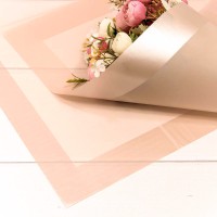 Плёнка в листах 58*58 (20 шт.) матовая с широкой рамкой 50мкм Персиковый 1/60 Арт: 1669/698