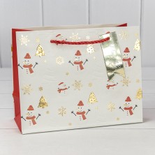 Пакет подарочный "Новый год" (микс 401) 23*18*10 210г 1/20 1/360 Арт: 300401EA