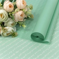 Плёнка 59см 800г матовая "Письмо" 55мкм Магическая мята 1/6 1/12 Арт: 80008/0921