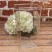 Ваза акриловая квадратная 14*14*24,5 350г 1/40 Арт: 820/1