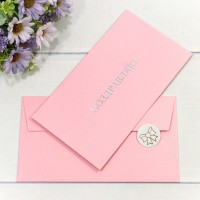 Конверт подарочный 16,9*9,4см 1306 1/10 1/250 Арт: 003013/6