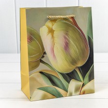 Пакет подарочный с блёстками "Тюльпаны" (микс 256) 18*23*10 210г 1/20 1/360 Арт: 000256E
