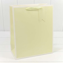 Пакет подарочный Однотонный в рамке (микс) 26*32*13 210г 1/20 1/240 Арт: 000169C