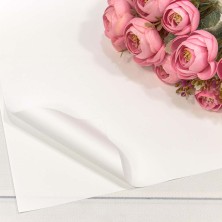 Плёнка в листах 55*55 (20 шт.) матовая "Корейская" 65мкм Белый 1/60 Арт: 1698/2