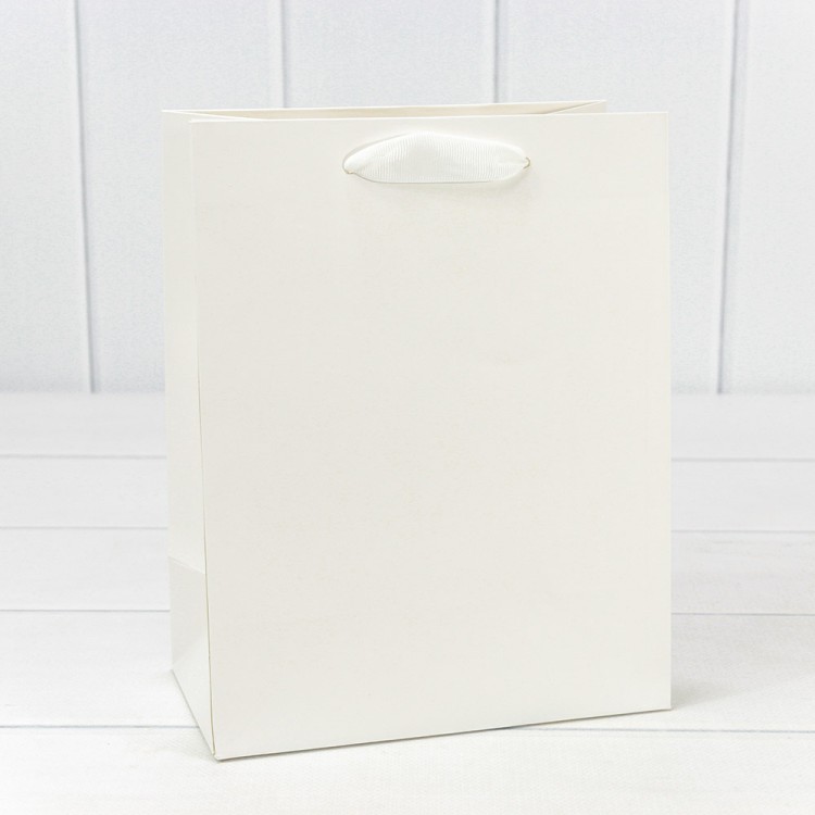 Пакет подарочный Белый 18*23*10 230г 1/20 1/360 Арт: 000200E