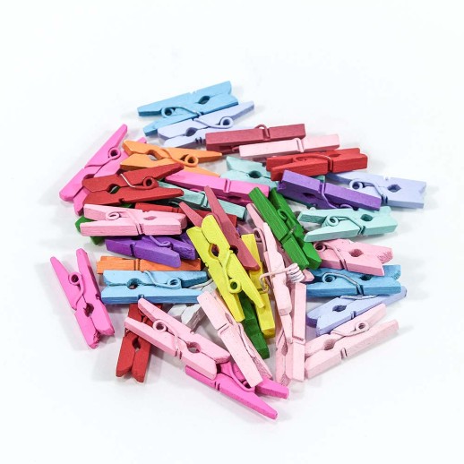 Цветочный аксессуар Прищепки декоративные Цветные (микс) 2,5*0,7*0,3 1/100 1/120 Арт: 260016