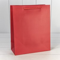 Пакет подарочный "Фактура-890" Красный 18*23*10 210г 1/20 1/360 Арт: 000890E/8